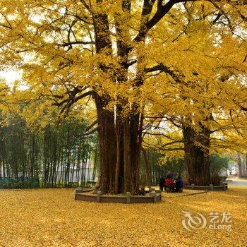 杭州溪湘记宿酒店提供图片