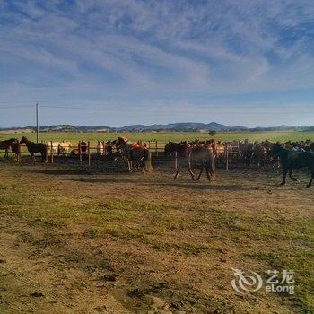 克什克腾旗乌兰布统风情草原度假村酒店提供图片