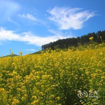 祁连天域景都帐篷度假村酒店提供图片