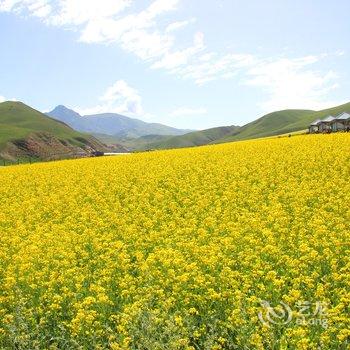 祁连天域景都帐篷度假村酒店提供图片