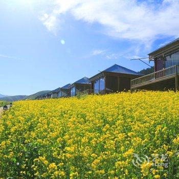 祁连天域景都帐篷度假村酒店提供图片