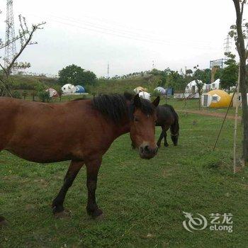 盱眙国际房车露营基地酒店提供图片