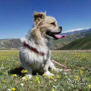 伊犁伊途青年旅舍酒店提供图片