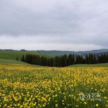 伊犁伊途青年旅舍酒店提供图片