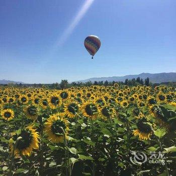 伊犁伊途青年旅舍酒店提供图片