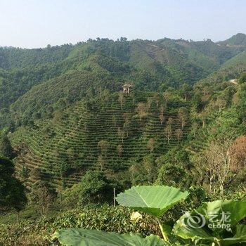 梧州六堡镇茶仙阁客栈酒店提供图片