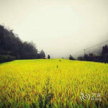 天台映山红民宿酒店提供图片