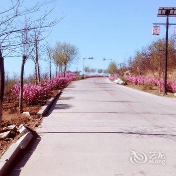 兴城菊花岛海之蓝宾馆酒店提供图片