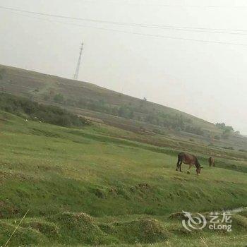 张北草原天路丰谷人家酒店提供图片