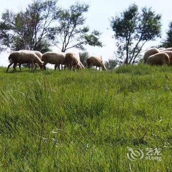 张北塞外别苑农家院酒店提供图片