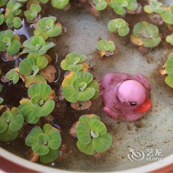 海口尊旅泰格玛观澜湖度假公寓酒店提供图片