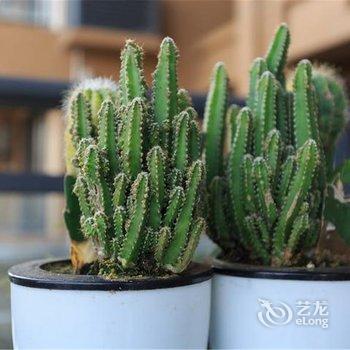 海口尊旅泰格玛观澜湖度假公寓酒店提供图片