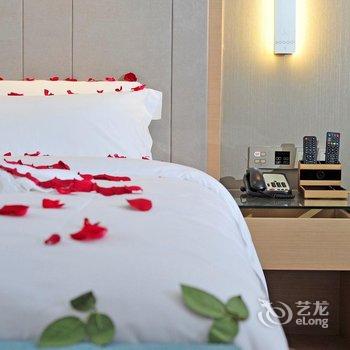 麗枫酒店(贵阳北站店)酒店提供图片