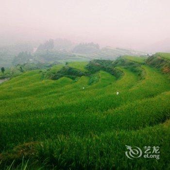 遂昌高山杜鹃农家酒店提供图片