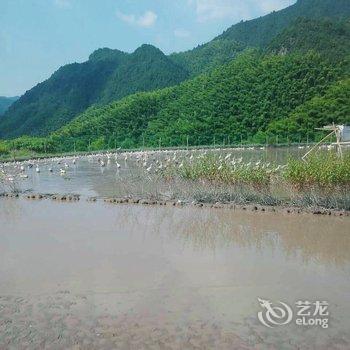 遂昌高山杜鹃农家酒店提供图片