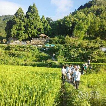 遂昌高山杜鹃农家酒店提供图片