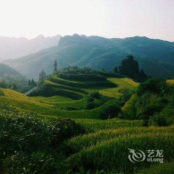 遂昌高山杜鹃农家酒店提供图片