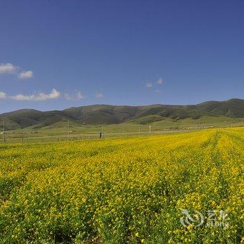 青海湖左岸青年旅舍酒店提供图片