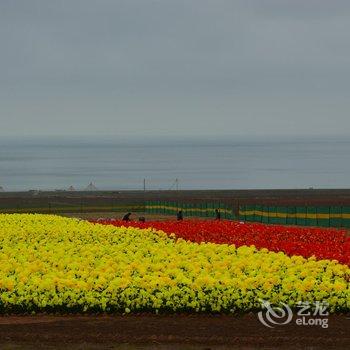 青海湖左岸青年旅舍酒店提供图片