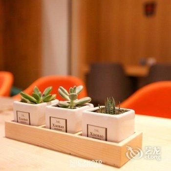 7天优品(焦作人民路师范学院店)酒店提供图片