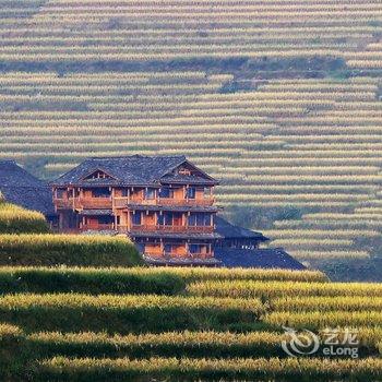 龙胜龙脊一楼艺术客栈酒店提供图片