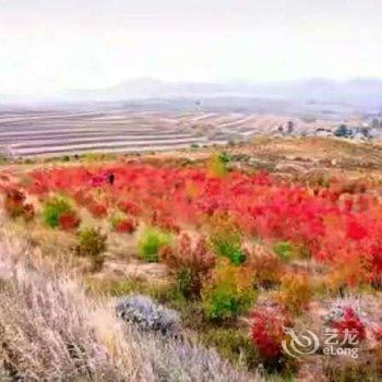 张北草原天路丰谷人家酒店提供图片