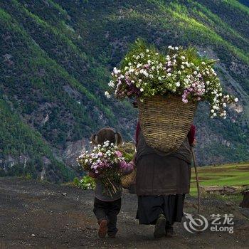 稻城知白雪山艺术酒店酒店提供图片