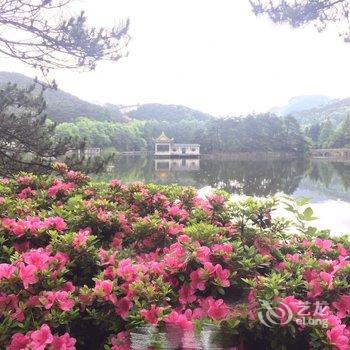 庐山风景区松珍雅居酒店提供图片