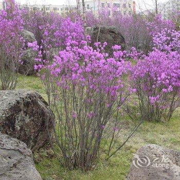 伊春金客来快捷宾馆酒店提供图片