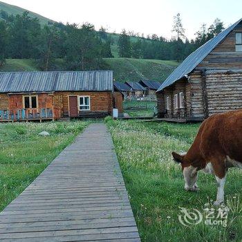 喀纳斯泰加青年旅舍用户上传图片