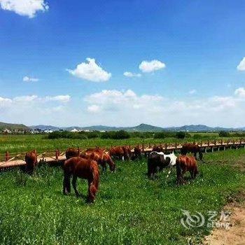 丰宁坝上草原云鹏农家院酒店提供图片