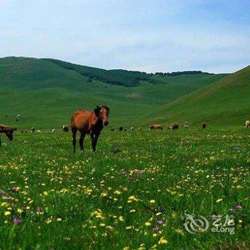 张家口祈福人家住宿酒店提供图片