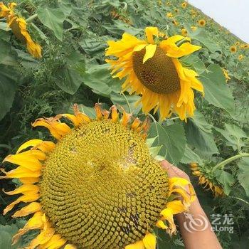 张家口祈福人家住宿酒店提供图片