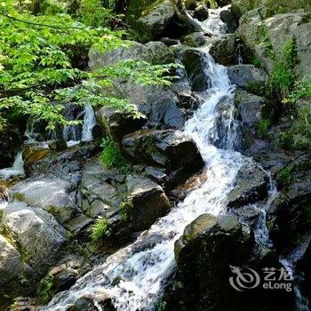 临安大峡谷银杏家园用户上传图片