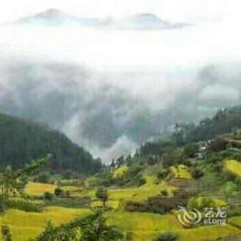临安大峡谷银杏家园用户上传图片