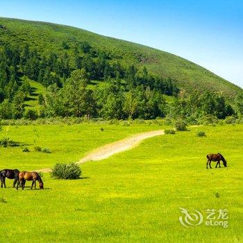 围场御道口御龙山庄酒店提供图片