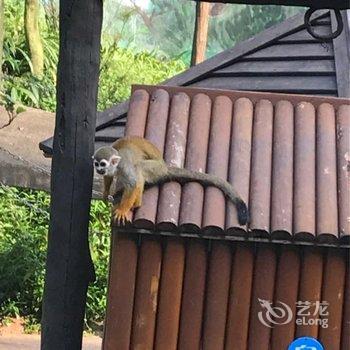 雅安碧峰峡天桥酒店用户上传图片