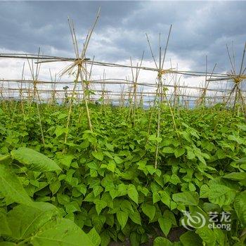 大理百草园田园主题客栈酒店提供图片