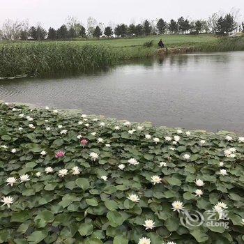 南戴河华贸蔚蓝海岸酒店酒店提供图片