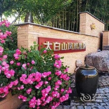 陕西宝鸡太白山凤凰温泉酒店酒店提供图片