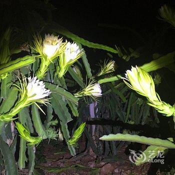 涠洲岛岛隐客栈酒店提供图片