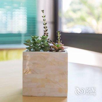 过来民宿酒店提供图片