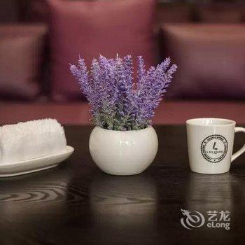 麗枫酒店(广州高铁南站会江地铁站店)酒店提供图片