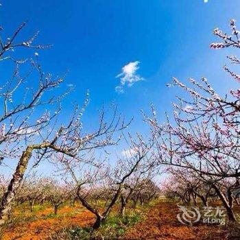 普者黑桃花岛度假庄园酒店提供图片