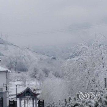 涞源白石山舍酒店提供图片