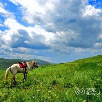 张家口卢雨农家院酒店提供图片