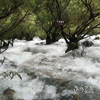 茂兰山水依缘农家乐酒店提供图片