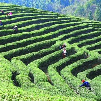 庐山归园田居酒店提供图片