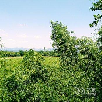 黟县不舍.碧山客栈酒店提供图片