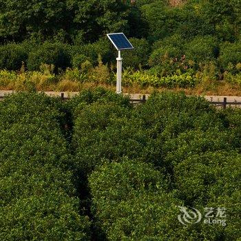 苏州书香世家树山温泉度假酒店酒店提供图片